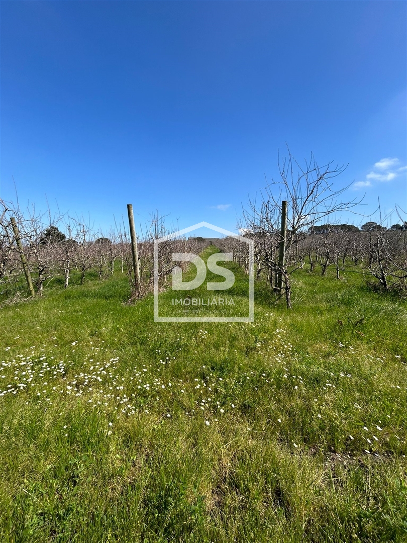 Terreno Rústico