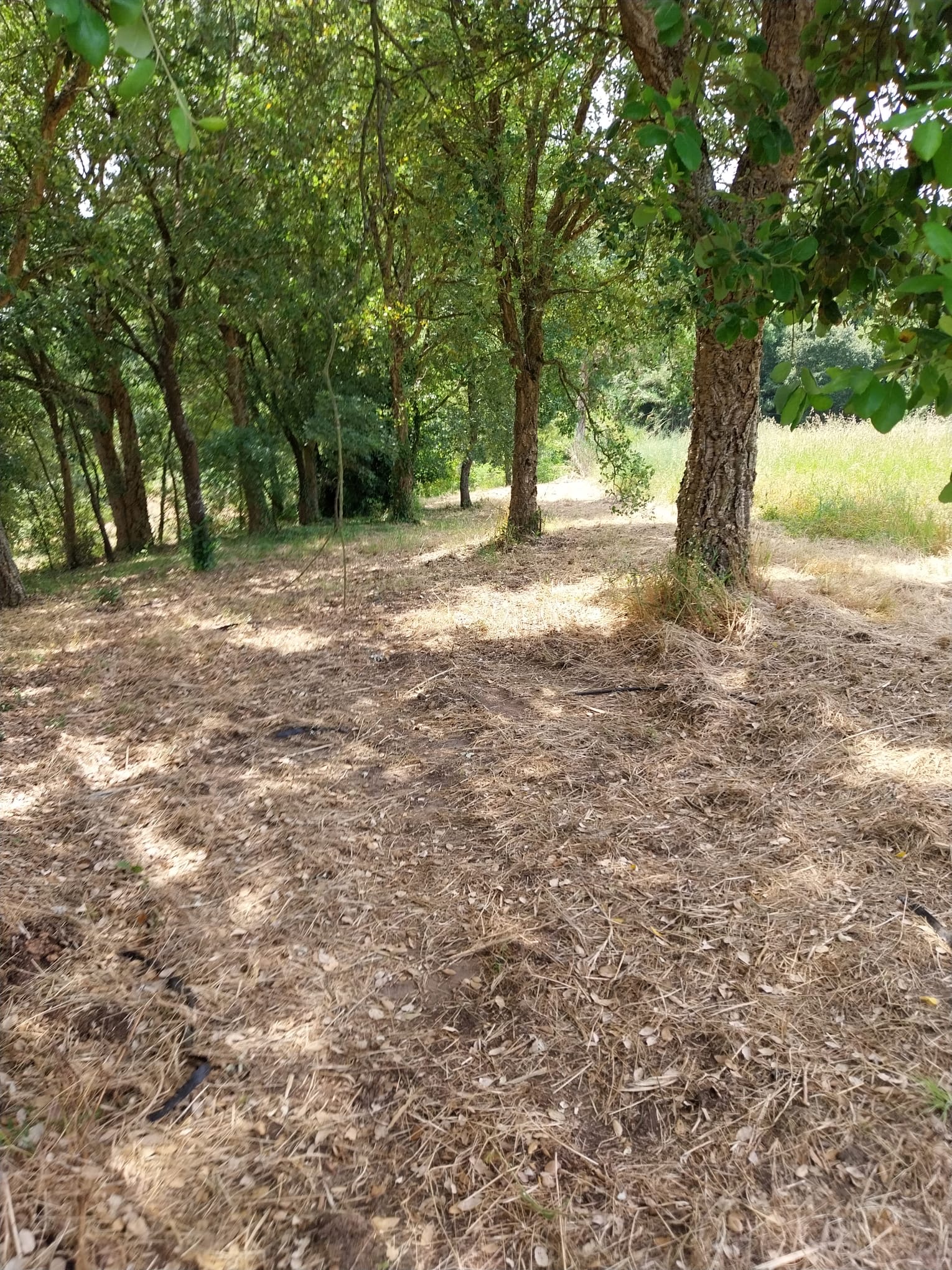 Terreno Para Construção