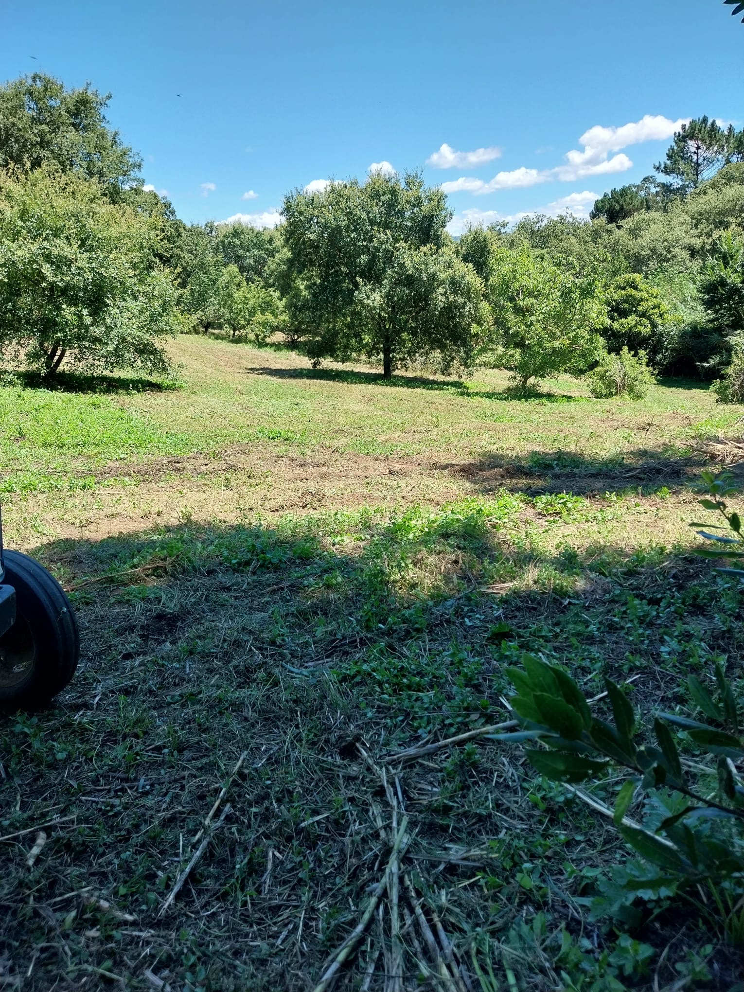 Terreno Para Construção