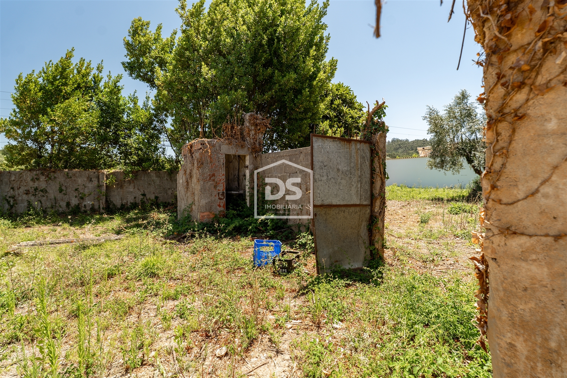 Oportunidade Única &#124; Vivenda Centenária em Pedra com Terreno — Projeto Rural ou Turístico em Zona Tr