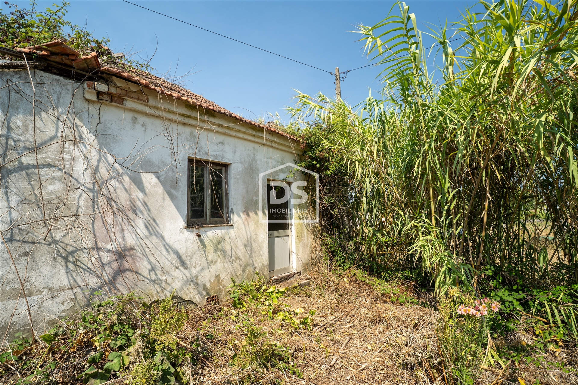 House T2