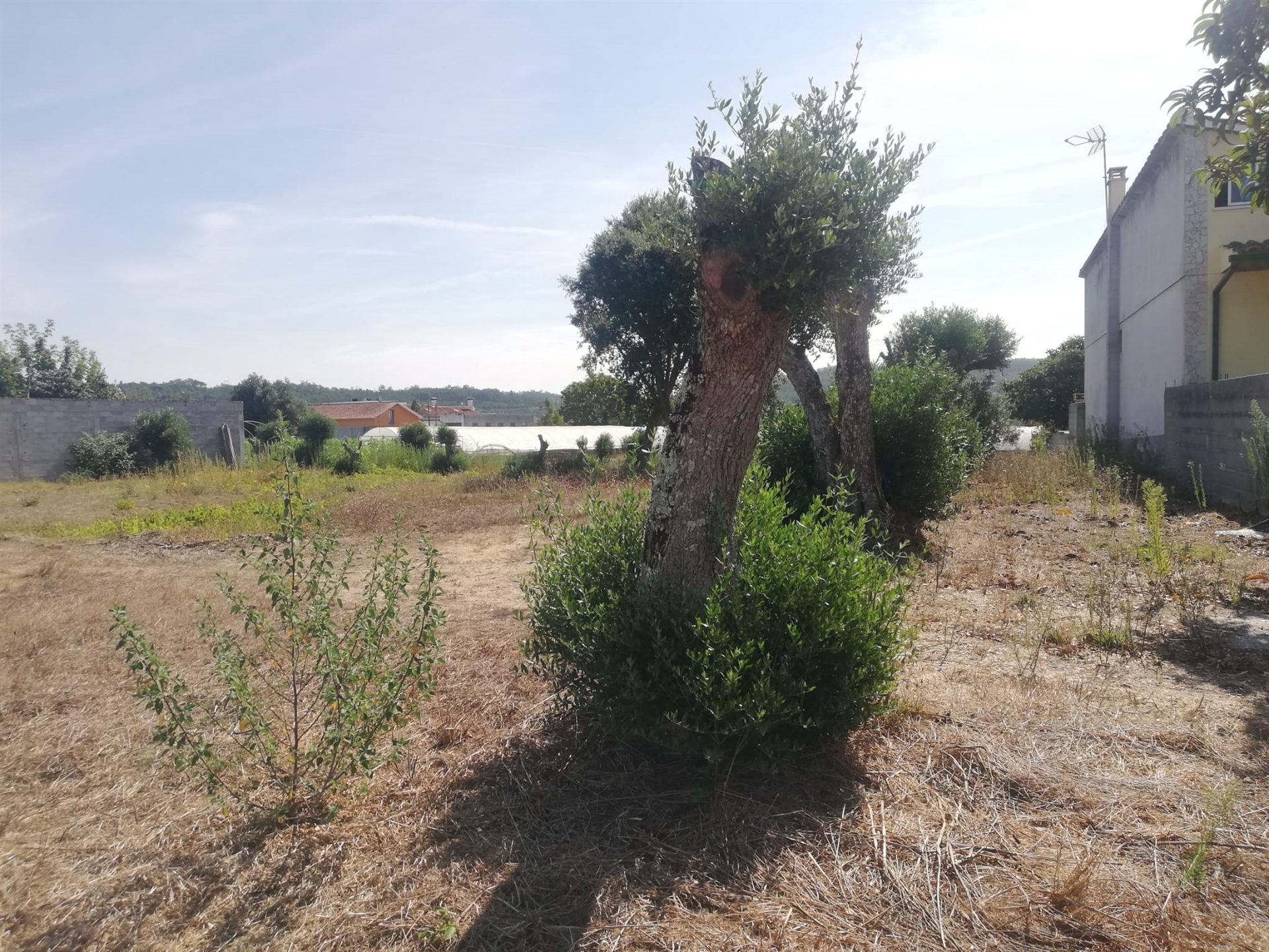 Lote de Terreno
