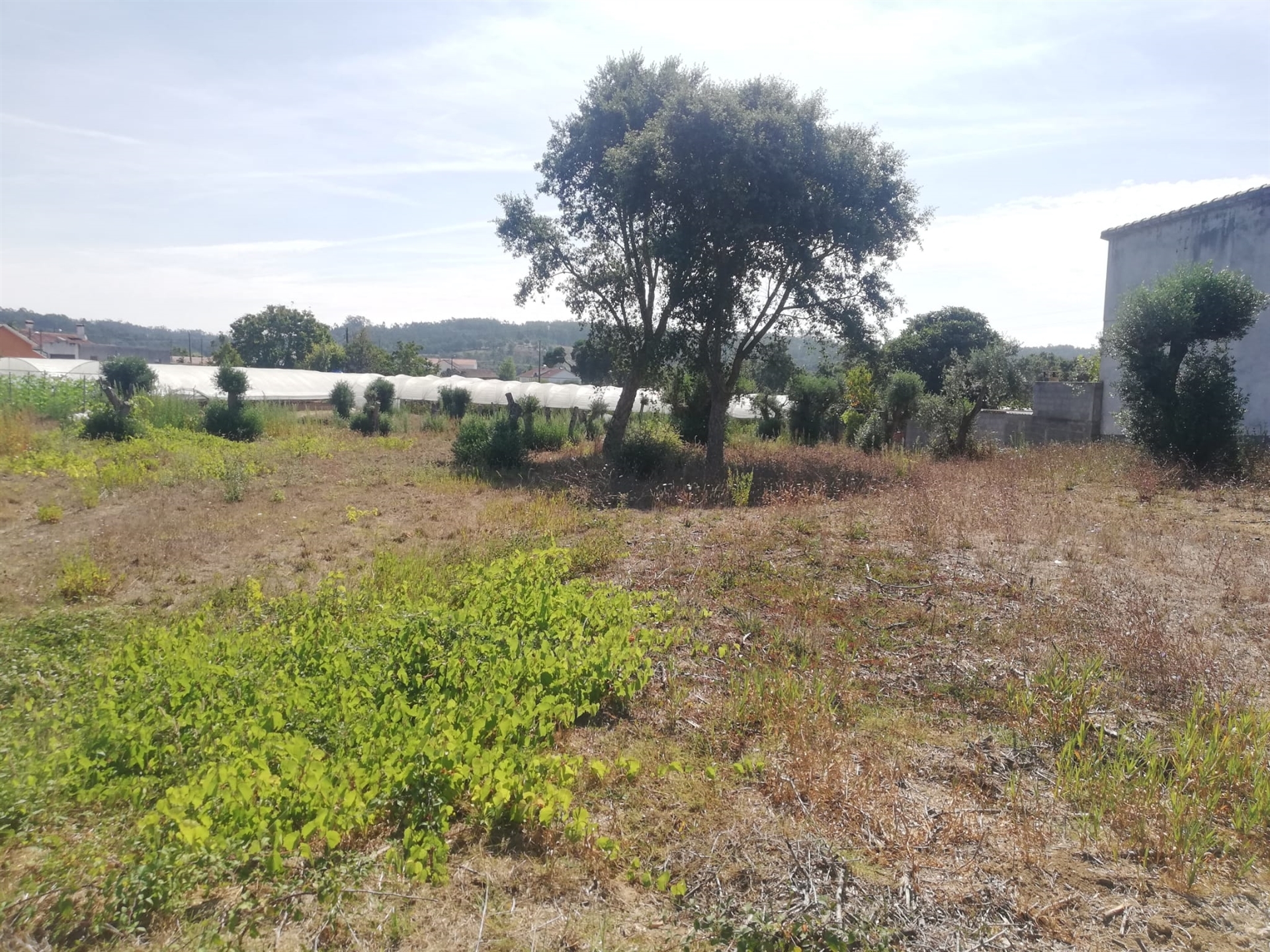 Lote de Terreno